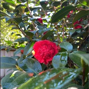 Meet your Posher, Annagrace